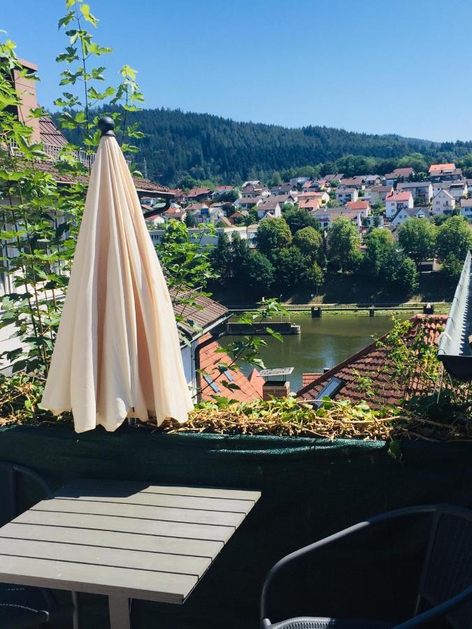 Natur Und Neckarblick Bei Heidelberg Гіршгорн Екстер'єр фото