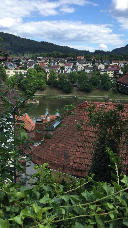 Natur Und Neckarblick Bei Heidelberg Гіршгорн Екстер'єр фото