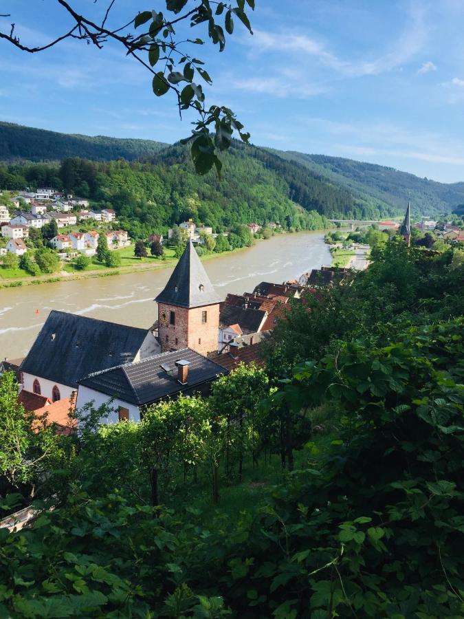 Natur Und Neckarblick Bei Heidelberg Гіршгорн Екстер'єр фото