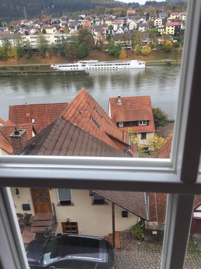Natur Und Neckarblick Bei Heidelberg Гіршгорн Екстер'єр фото