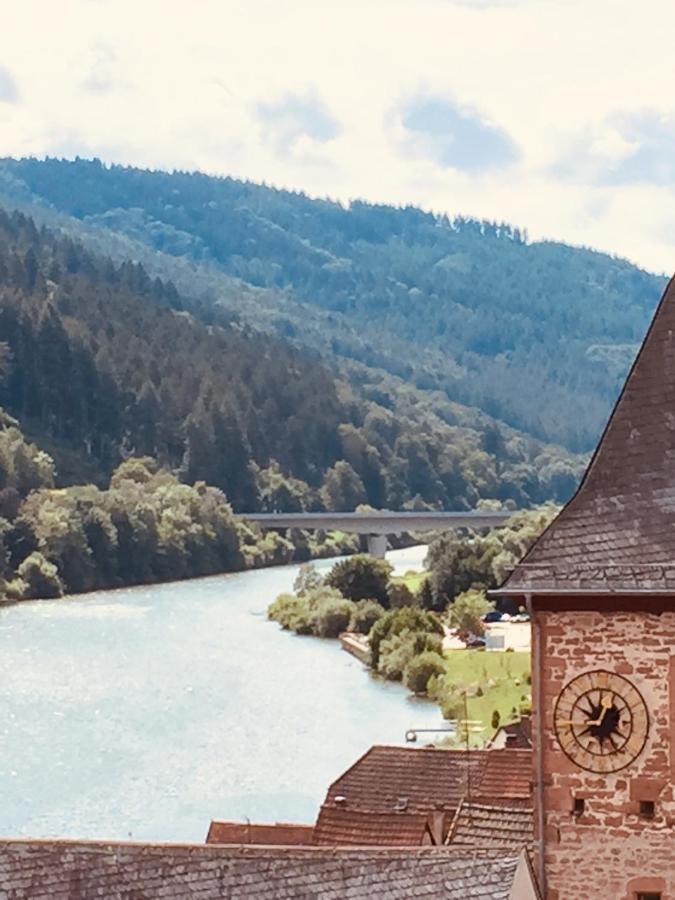 Natur Und Neckarblick Bei Heidelberg Гіршгорн Екстер'єр фото