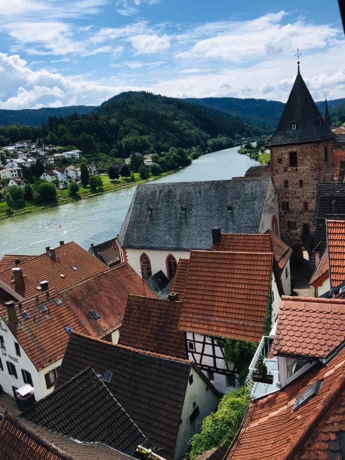 Natur Und Neckarblick Bei Heidelberg Гіршгорн Екстер'єр фото