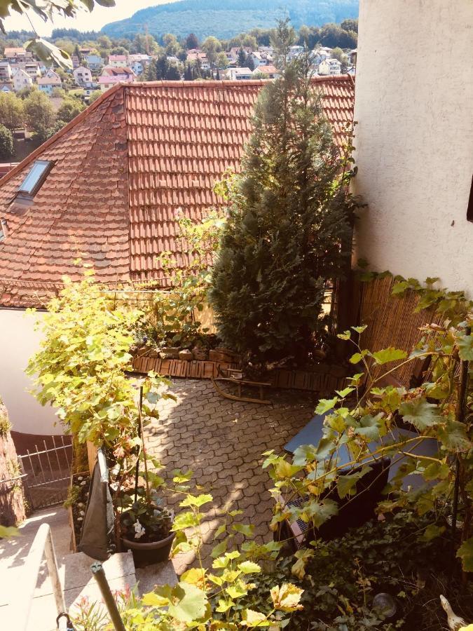 Natur Und Neckarblick Bei Heidelberg Гіршгорн Екстер'єр фото