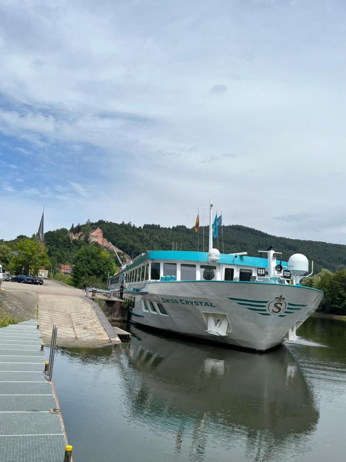 Natur Und Neckarblick Bei Heidelberg Гіршгорн Екстер'єр фото