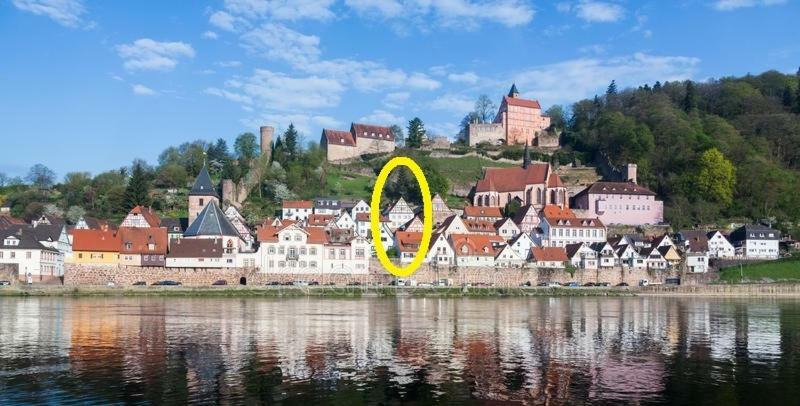 Natur Und Neckarblick Bei Heidelberg Гіршгорн Екстер'єр фото