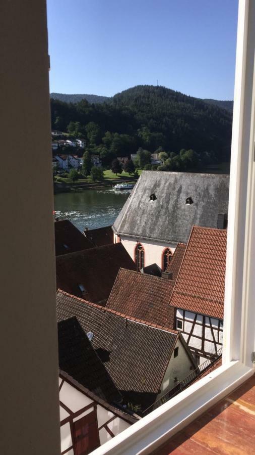 Natur Und Neckarblick Bei Heidelberg Гіршгорн Екстер'єр фото